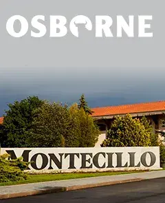 Visita Bodegas Montecillo - Osborne